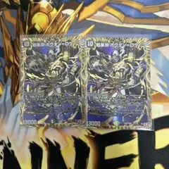 超暴淵ボウダンロウ シークレット シク 2枚セット