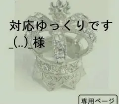 対応ゆっくりです様　専用（448）