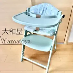 使用極少・廃盤レア 大和屋 アッフルチェア ハーブグリーン （クッション付）