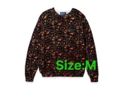 Item thumbnail for item 7381af2a-d701-42c1-9950-fbe2db8340bd