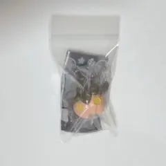 ポケットモンスター ポケモンランプマスコット バケッチャ②