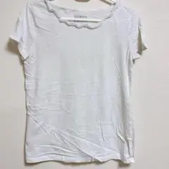 TALBOTS XS スカラップネック Tシャツ ホワイト 半袖 トップス 無地