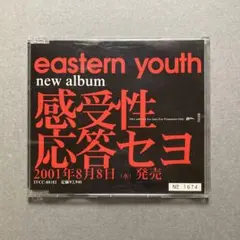 名盤 イースタンユース eastern youth 感受性応答セヨ LP 美品 Eastern Youth – 感受性応答セヨ – Vinyl (LP, Album), 2001