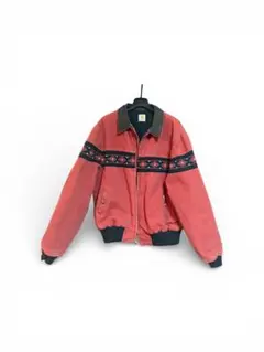 2026年最新】カーハート サンタフェジャケット ネイティブの人気