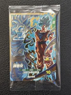 2026年最新】sdvpsの人気アイテム - メルカリ