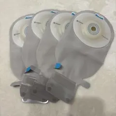 16738 センシュラミオ1 ライトのサムネイル
