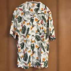 Item thumbnail for item f9202a1b-5024-4b01-aa4f-76311a2ffa90