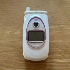 2026年最新】p251isの人気アイテム - メルカリ