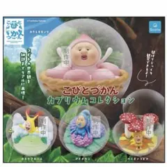 こびとずかん　カプリウムコレクション　ホトケアカバネ①