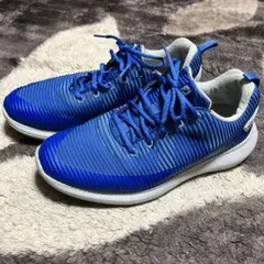 ゴルフシューズ フットジョイ FLEX XP