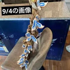 2025年最新】オオギバショウの人気アイテム - メルカリ