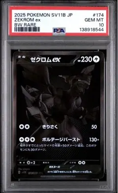 2026年最新】ゼクロムEX psa10の人気アイテム - メルカリ