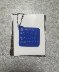 2026年最新】RADWIMPS キーホルダーの人気アイテム - メルカリ