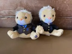 Item thumbnail for item 9b6a2a8d-5e98-4dc3-9f49-a44e3b3a3422