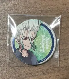 DrSTONE SPARK OF SCIENCE 缶バッジ 花火 石神千空 - メルカリ