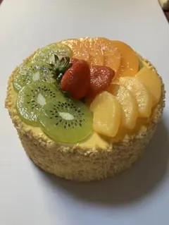 食品サンプル ホールケーキ フルーツケーキ 直径約15cm ディスプレイ 撮影