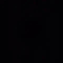 kiiさま専用 ヨークシャテリア　1点