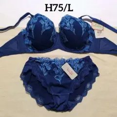 H75　ブルー　トリンプ　レッドレーベルバイ　トリンプ0099　パッドなし