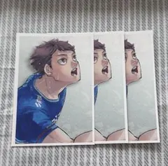 2025年最新】ハイキュー思い出スナップフォトカードの人気