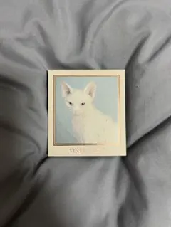 VENUS MARBLE アイシャドウパレット