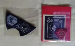 CRAZY COOL JOE　ピック　生誕ステッカー