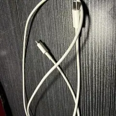 Apple純正 iPhone ライトニングケーブル USB-C