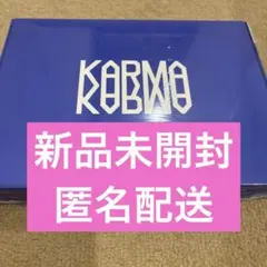 【新品未開封】Stray Kids KARMA CEREMONY VER.