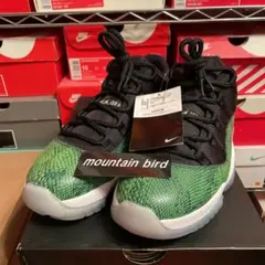 AJ11 supreme dunk sb sacai MAX 95 travis