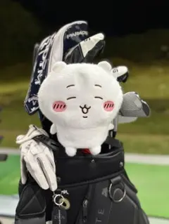 Item thumbnail for item 0b3df9d7-52bf-4241-8547-d0fa6e0f164f