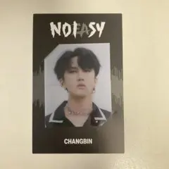 スキズ NOEASY予約限定フレームフォトカード 【チャンビン】