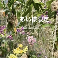 あい様限定他の方は❌