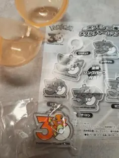 ポケモン 30周年 ヒトカゲ メタルチャームマスコット