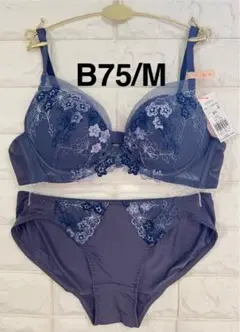 Daily AMOSTYLE 寄せブラ519 上下セット　グレー　B75/M