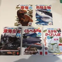 Item thumbnail for item c0ebdcf5-be9f-4c9f-a101-ae00466b5052