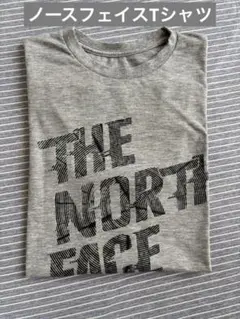 THE NORTH FACE 半袖Tシャツ グレー⭐︎Lサイズのサムネイル