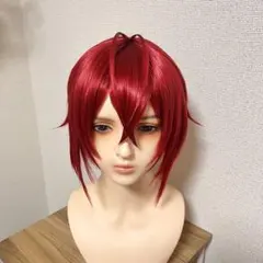 2026年最新】ツイステ リドル ウィッグの人気アイテム - メルカリ