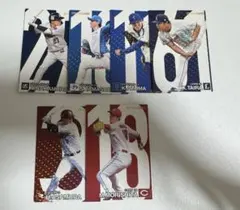 プロ野球チップスカード2024 第2弾 スターカードセット