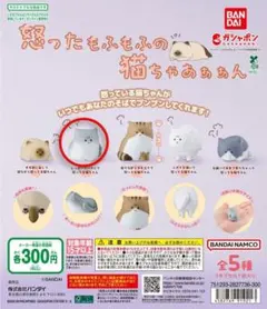 怒ったもふもふの猫ちゃあぁぁん