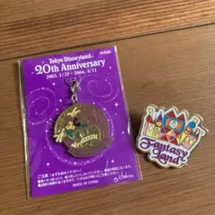 ディズニーランド　20周年記念チャーム他