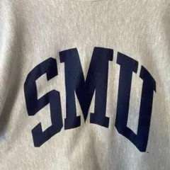 80s　 USA製 チャンピオン リバースウィーブ XXLトリコタグ