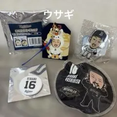 オリックス・バファローズ 平野佳寿 グッズ4点セット