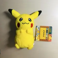 2025年最新】ピカチュウマニアぬいぐるみの人気アイテム - メルカリ