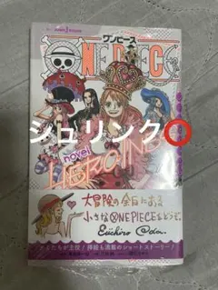 ONE PIECE novel HEROINES ワンピース ヒロインズ　初版