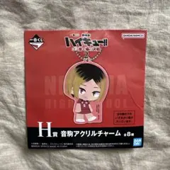 ハイキュー 一番くじ H賞 ランダム