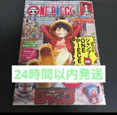 ワンピースマガジン 20号 プロモ ルフィ付き