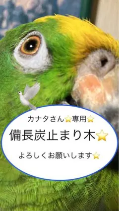 Item thumbnail for item 500f7f1d-bf69-4765-9de1-2cebfa6dfc86