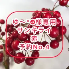 【ご予約No.4】［ゆ～*☻様専用］サンキライ赤