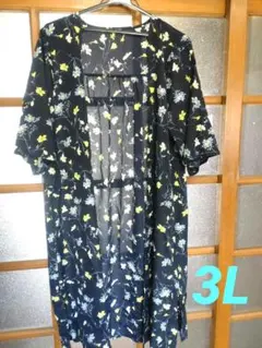 Item thumbnail for item 59f4f6f0-e854-43e1-a8b3-2161448e171b