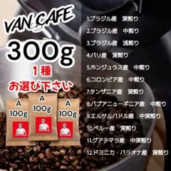 コーヒー豆「300g（1種）」自家焙煎 珈琲豆