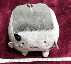 Item thumbnail for item 97864b96-f0f4-4725-b5bf-9d3e1d444988